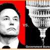 Picture of Elon Musk alongside an upside down image of the dome of the US Congress Building. Title: Musk vs Government Bureaucracy.